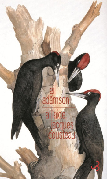 À L'AIDE JACQUES COUSTEAU - Gil Adamson - BOURGOIS