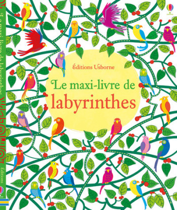 LE MAXI-LIVRE DE LABYRINTHES - Kirsteen Robson - USBORNE