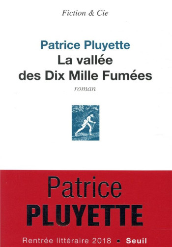 LA VALLEE DES DIX MILLE FUMEES - PLUYETTE PATRICE - SEUIL