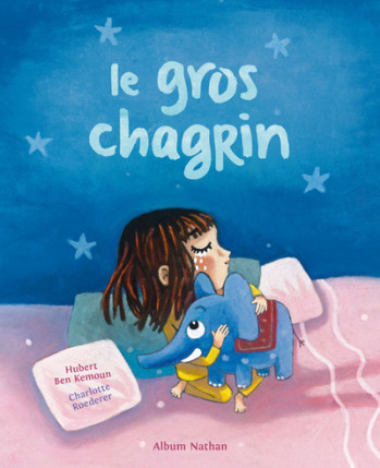 LE GROS CHAGRIN - Hubert Ben Kemoun - NATHAN