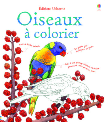 OISEAUX À COLORIER - Megan Cullis - USBORNE