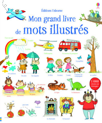 MON GRAND LIVRE DE MOTS ILLUSTRES - Mairi Mackinnon - USBORNE