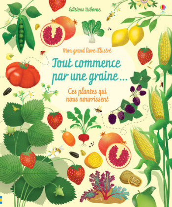 TOUT COMMENCE PAR UNE GRAINE... - MON GRAND LIVRE ILLUSTRE - Emily Bone - USBORNE