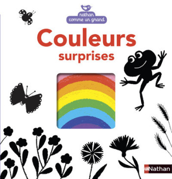 COULEURS SURPRISES - Frédéric Maupome - NATHAN