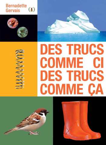 DES TRUCS COMME CI, DES TRUCS COMME ÇA - Bernadette Gervais - GRANDES PERSONN