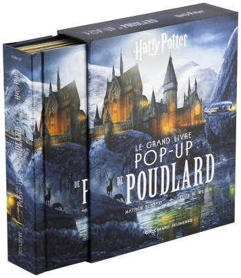 HARRY POTTER  - LE GRAND LIVRE POP-UP DE POUDLARD - REINHART MATTHEW - GALLIMARD JEUNE