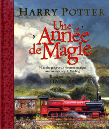 HARRY POTTER - UNE ANNEE DE MAGIE - VIVEZ CHAQUE JOUR UN MOMENT MAGIQUE - ROWLING J.K. - GALLIMARD