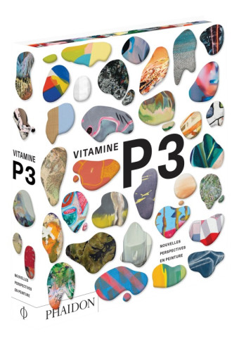 VITAMINE P3 - NOUVELLES PERSPECTIVES EN PEINTURE - SCHWABSKY BARRY - PHAIDON FRANCE