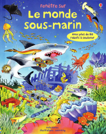 FENETRE SUR - LE MONDE SOUS-MARIN - DAVIES/KING - USBORNE