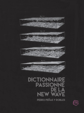 DICTIONNAIRE PASSIONNE DE LA NEW WAVE - PENAS Y ROBLES PEDRO - LE BOULON