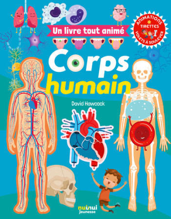 UN LIVRE TOUT ANIMÉ - CORPS HUMAIN - HAWCOCK DAVID - NUINUI JEUNESSE