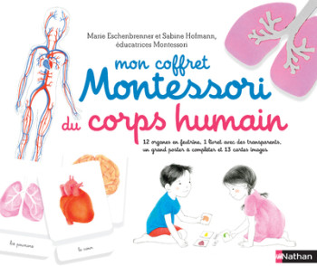 MON COFFRET MONTESSORI DU CORPS HUMAIN - HOFMANN/ROCCHI - NATHAN