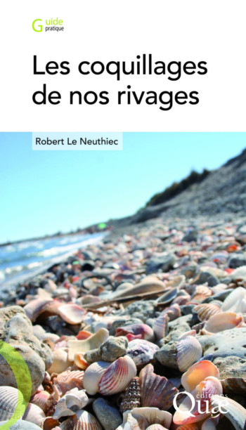 LES COQUILLAGES DE NOS RIVAGES - LE NEUTHIEC ROBERT - QUAE