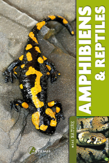 AMPHIBIENS & REPTILES - COLLECTIF - ARTEMIS