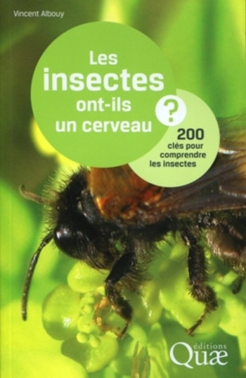 LES INSECTES ONT-ILS UN CERVEAU ? - ALBOUY VINCENT - QUAE