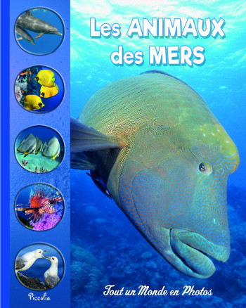 LES ANIMAUX DES MERS - COLLECTIF - PICCOLIA