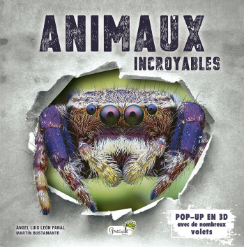 ANIMAUX INCROYABLES - BUSTAMANTE MARTIN - GRENOUILLE