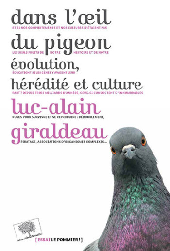 DANS L'OEIL DU PIGEON - GIRALDEAU LUC-ALAIN - POMMIER