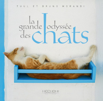 LA GRANDE ODYSSÉE DES CHATS - MORANDI - HOZHONI