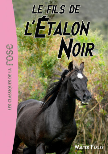 L'Étalon noir 04 - Le fils de l'Étalon Noir - Walter Farley - HACHETTE JEUN.