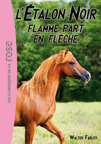 L'Étalon Noir 12 - Flamme part en flèche - Walter Farley - HACHETTE JEUN.