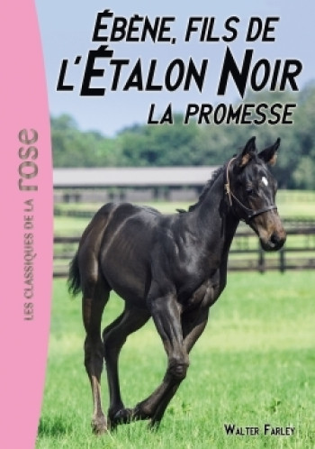 L'Étalon Noir 21 - Ébène, le fils de l'Étalon Noir - Steven Farley - HACHETTE JEUN.