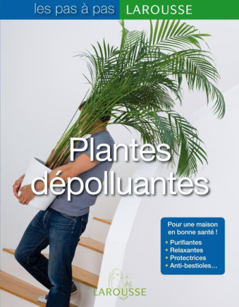 Les plantes dépolluantes - Bénédicte Boudassou - LAROUSSE