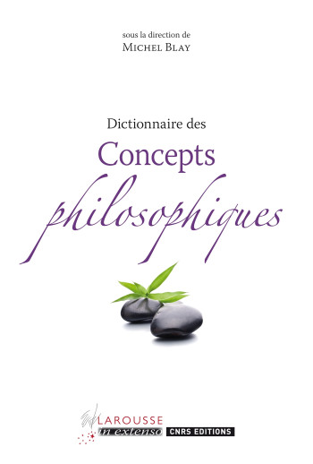 Dictionnaire des concepts philosophiques - Michel Blay - LAROUSSE