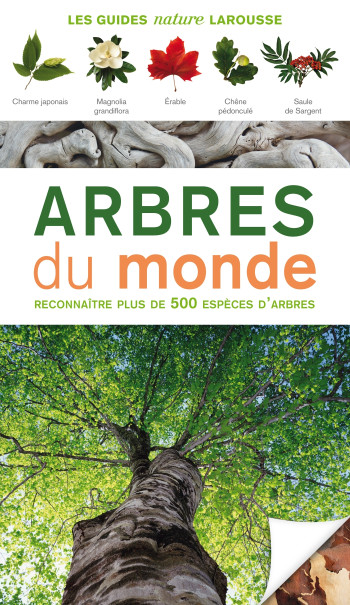 Arbres du monde - Odile Koenig - LAROUSSE