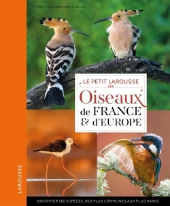 Petit Larousse des oiseaux de France et d'Europe - Frédéric Jiguet - LAROUSSE