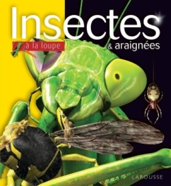 Insectes et araignées - Noel Tait - LAROUSSE Insectes et araignées - Noel Tait - LAROUSSE