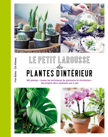 Petit Larousse des plantes d'intérieur - Fran Bailey - LAROUSSE