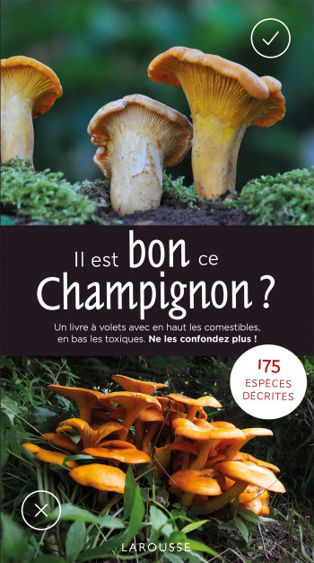 Il est bon ce champignon ? - Laux GMINDER - LAROUSSE