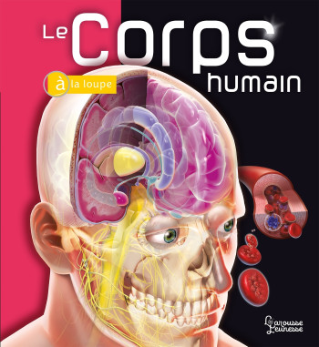 Le Corps humain - Linda Calabresi - LAROUSSE