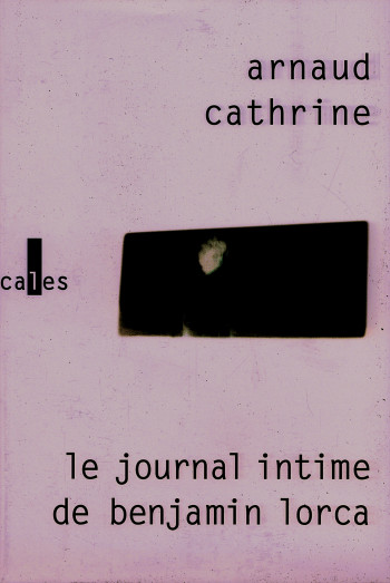 Le journal intime de Benjamin Lorca - Arnaud Cathrine - VERTICALES