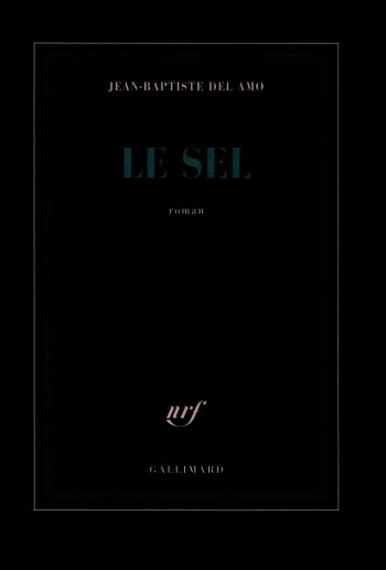 Le sel - Jean-Baptiste Del Amo - GALLIMARD