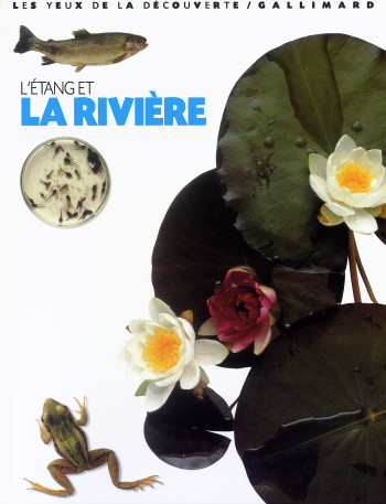 L'ETANG ET LA RIVIERE - Steve Parker - GALLIMARD JEUNE