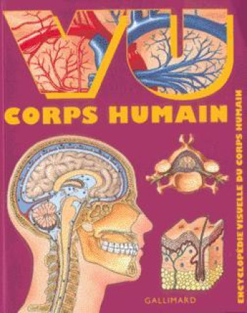 Vu corps humain encyclopédie visuelle du corps humain -  COLLECTIFS JEUNESSE - GALLIMARD JEUNE