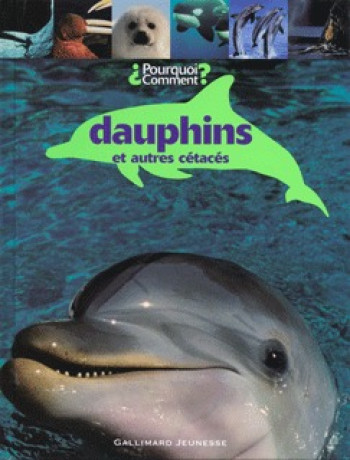 Dauphins et autres cétacés -  Collectif - GALLIMARD JEUNE