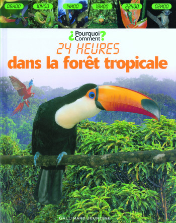 Dans la forêt tropicale - Fleur Star - GALLIMARD JEUNE