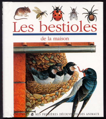 Les bestioles de la maison -  Collectif - GALLIMARD JEUNE