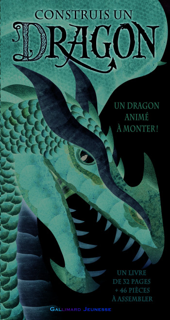 Construis un dragon - Dugald Steer - GALLIMARD JEUNE