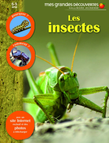 Les insectes -  COLLECTIFS JEUNESSE - GALLIMARD JEUNE