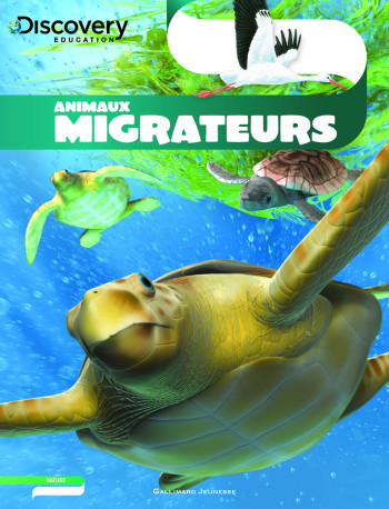 Animaux migrateurs - Andrew Einspruch - GALLIMARD JEUNE