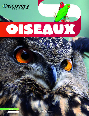 Oiseaux - Lesley McFadzean - GALLIMARD JEUNE