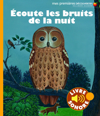 ECOUTE LES BRUITS DE LA NUIT -  DELPHINE GRAVIER-BADREDDINE - GALLIMARD JEUNE