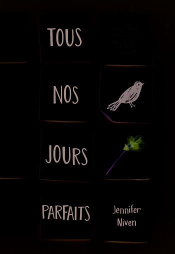 Tous nos jours parfaits - Jennifer Niven - GALLIMARD JEUNE