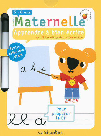 Apprendre à bien écrire : Mes fiches effaçables grande section - Delphine Gravier-Badreddine - GALLIMARD JEUNE