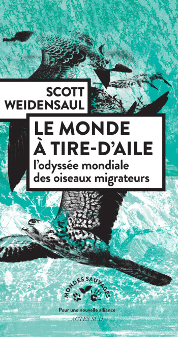 Le monde à tire-d'aile - Weidensaul Scott - ACTES SUD