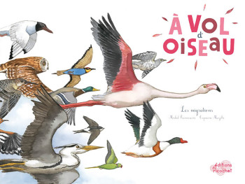 A VOL D'OISEAU - Michel Francesconi - RICOCHET